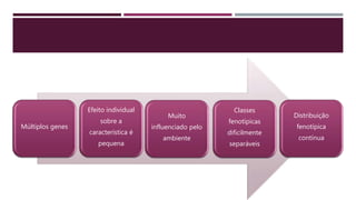 Múltiplos genes
Efeito individual
sobre a
característica é
pequena
Muito
influenciado pelo
ambiente
Classes
fenotípicas
dificilmente
separáveis
Distribuição
fenotípica
contínua
 