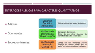 INTERAÇÕES ALÉLICAS PARA CARACTERES QUANTITATIVOS
 Aditivas
 Dominantes
 Sobredominantes
 