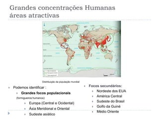 90% da população mundial encontra-se no Hemisfério Norte