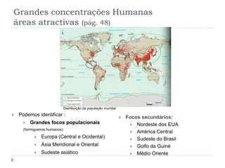 Grandes concentrações Humanas
áreas atractivas (pág. 48)




                            Distribuição da população mundial
   Podemos identificar :
                                                                   Focos secundários:
         Grandes focos populacionais                                 Nordeste dos EUA
      (formigueiros humanos):
                                                                      América Central
               Europa (Central e Ocidental)                          Sudeste do Brasil
               Ásia Meridional e Oriental                            Golfo da Guiné
               Sudeste asiático                                      Médio Oriente
 
