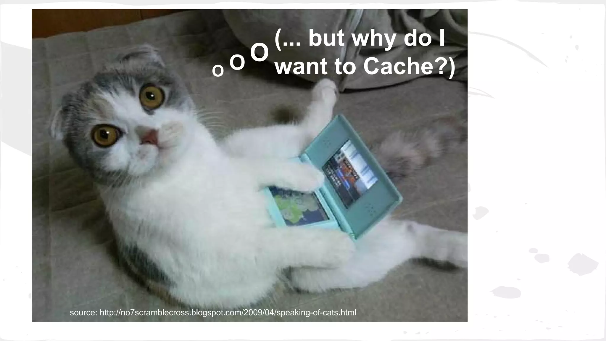 (... but why do I want to Cache?) O O O source: http://no7scramblecross.blogspot.com/2009/04/speaking-of-cats.html 
