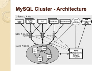 MySQL Cluster - Architecture
 