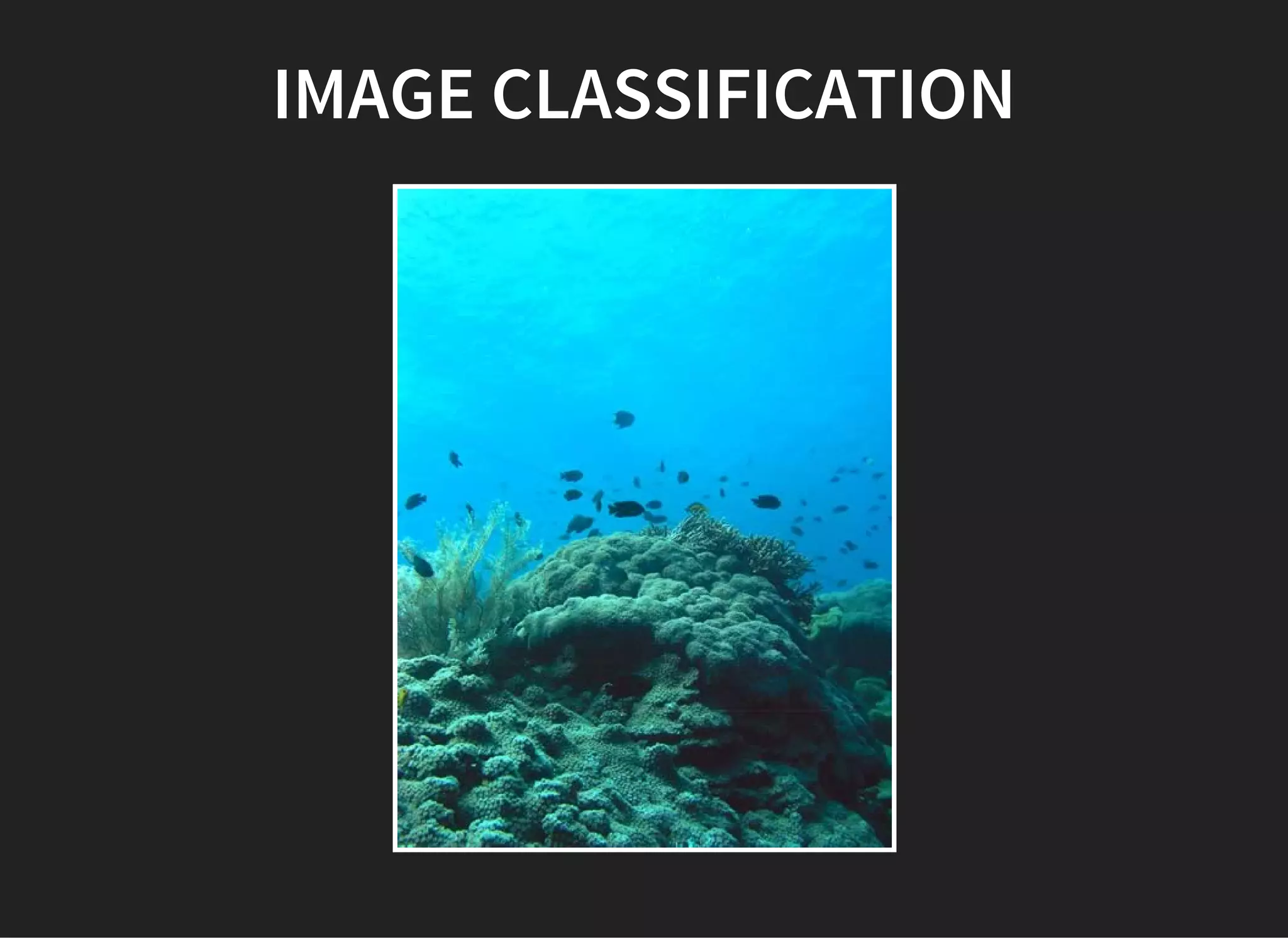 IMAGE CLASSIFICATION
 