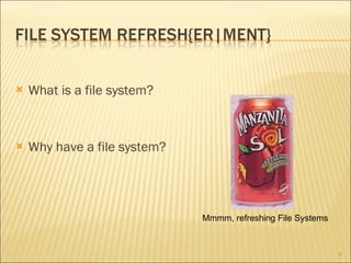 What is a file system? Why have a file system? Mmmm, refreshing File Systems 