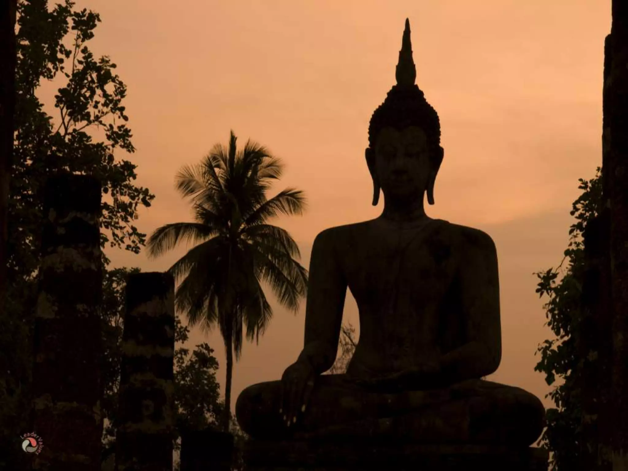 Distributed Leadership