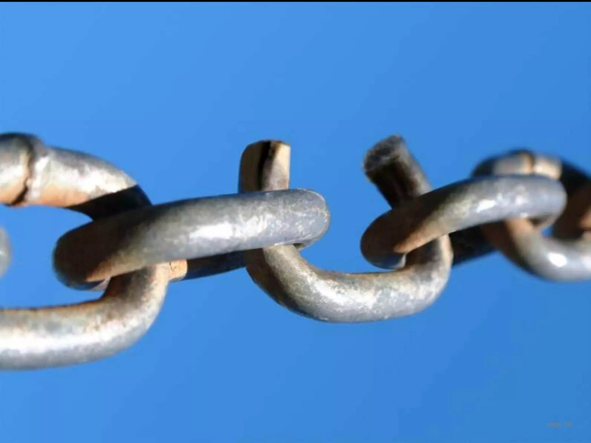 Distributed Leadership