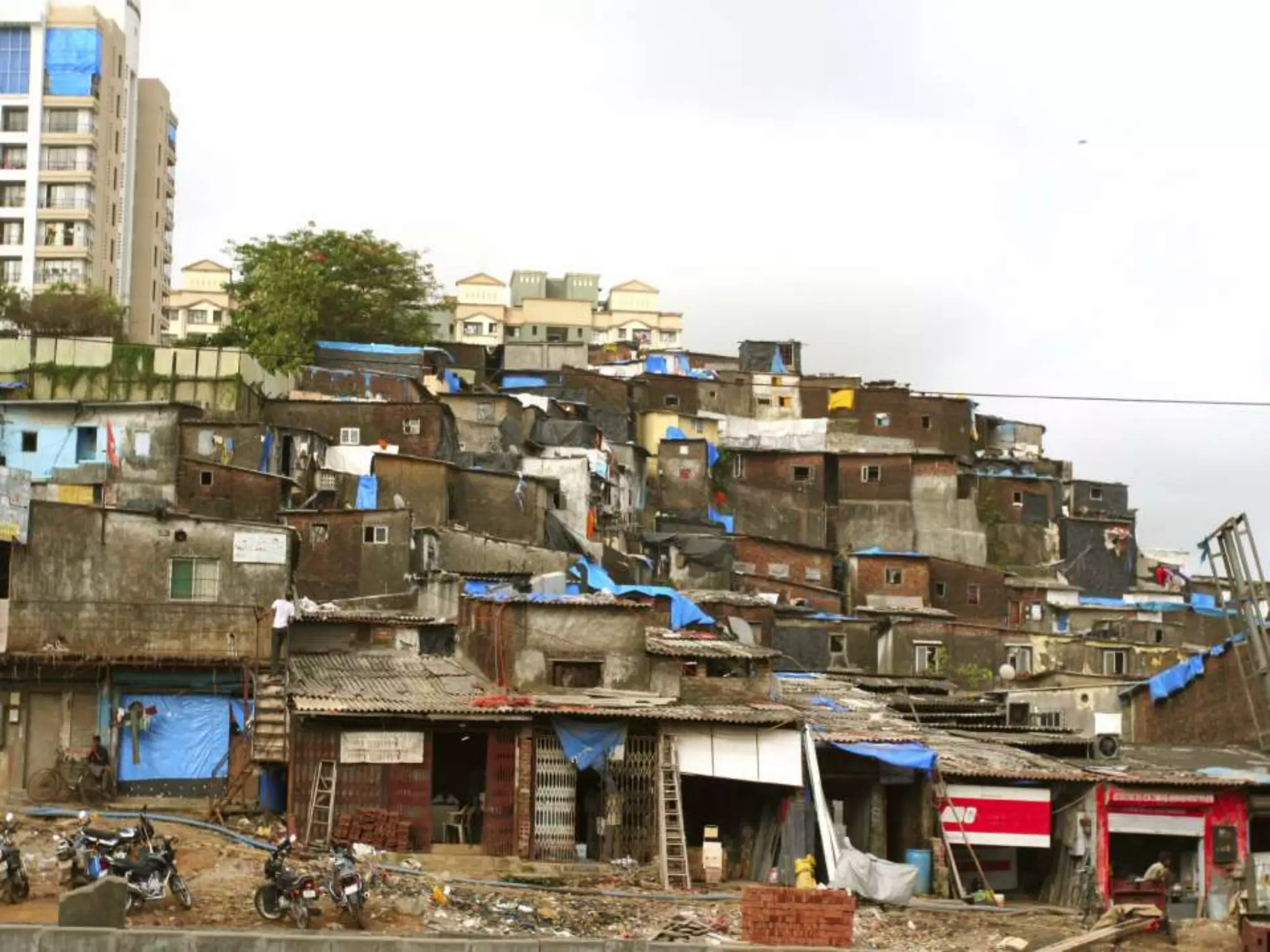 Distributed Leadership