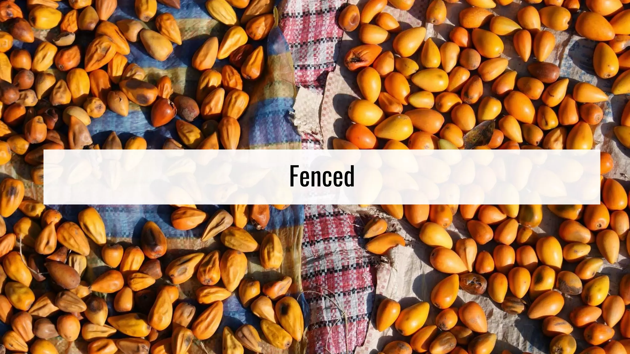 Fenced
 