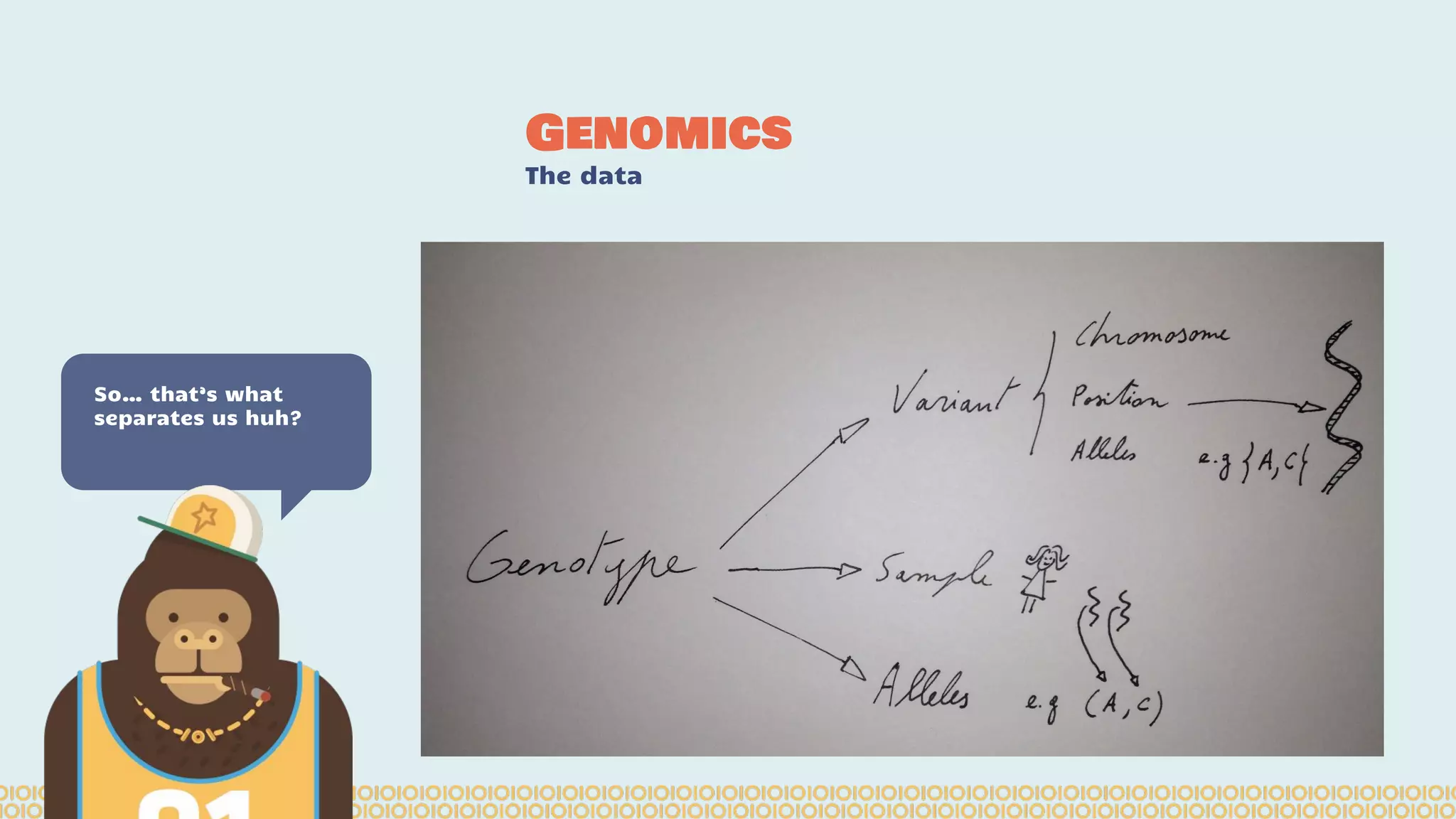 Genomics The data So… that’s what separates us huh? 