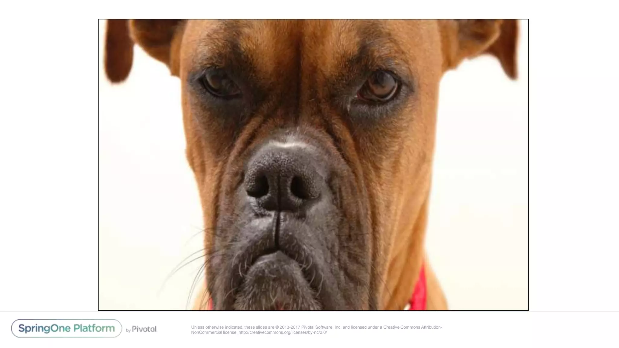 Unless otherwise indicated, these slides are © 2013-2017 Pivotal Software, Inc. and licensed under a Creative Commons Attribution-
NonCommercial license: http://creativecommons.org/licenses/by-nc/3.0/
 