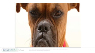 Unless otherwise indicated, these slides are © 2013-2017 Pivotal Software, Inc. and licensed under a Creative Commons Attribution-
NonCommercial license: http://creativecommons.org/licenses/by-nc/3.0/
 