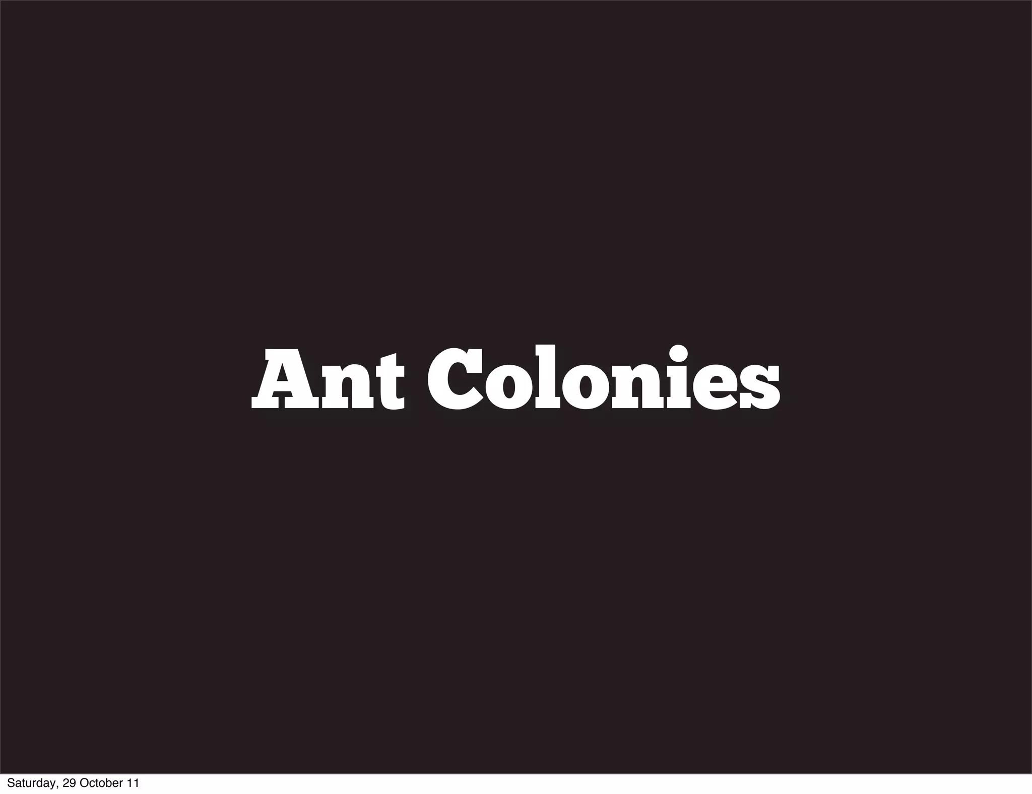 Ant Colonies



Saturday, 29 October 11
 