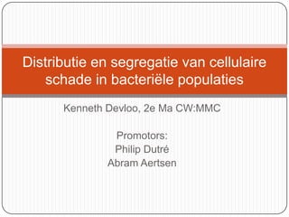 Kenneth Devloo, 2e Ma CW:MMC Promotors: Philip Dutré Abram Aertsen Distributie en segregatie van cellulaire schade in bacteriële populaties 