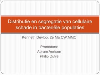Kenneth Devloo, 2e Ma CW:MMC Promotors: Abram Aertsen Philip Dutré Distributie en segregatie van cellulaire schade in bacteriële populaties 