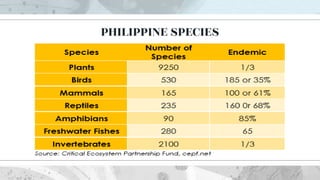 PHILIPPINE SPECIES
 