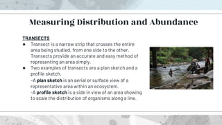 TRANSECTS
● Transect is a narrow strip that crosses the entire
area being studied, from one side to the other.
Transects provide an accurate and easy method of
representing an area simply.
● Two examples of transects are a plan sketch and a
profile sketch.
-A plan sketch is an aerial or surface view of a
representative area within an ecosystem.
-A profile sketch is a side in view of an area showing
to scale the distribution of organisms along a line.
Measuring Distribution and Abundance
 