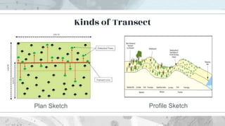 Kinds of Transect
Plan Sketch Profile Sketch
 