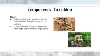 Space
● The amount of space an organism needs
to thrive varies widely from species to
species.
● Smaller organism needs a smaller space
while larger organism needs larger space
Components of a Habitat
 