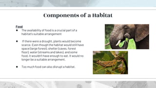 Food
● The availability of food is a crucial part of a
habitat’s suitable arrangement
● If there were a drought, plants would become
scarce. Even though the habitat would still have
space (large forest), shelter (caves, forest
floor), water (streams and lakes), and some
food, it wouldn’t have enough to eat. It would no
longer be a suitable arrangement.
● Too much food can also disrupt a habitat.
Components of a Habitat
 