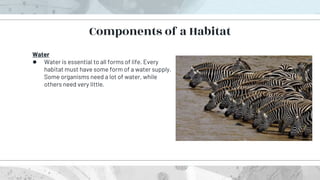 Water
● Water is essential to all forms of life. Every
habitat must have some form of a water supply.
Some organisms need a lot of water, while
others need very little.
Components of a Habitat
 