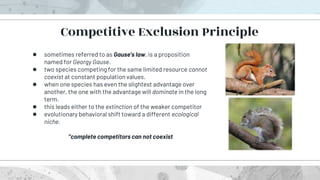 ● sometimes referred to as Gause's law, is a proposition
named for Georgy Gause.
● two species competing for the same limited resource cannot
coexist at constant population values.
● when one species has even the slightest advantage over
another, the one with the advantage will dominate in the long
term.
● this leads either to the extinction of the weaker competitor
● evolutionary behavioral shift toward a different ecological
niche.
"complete competitors can not coexist
Competitive Exclusion Principle
 