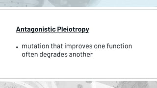 Antagonistic Pleiotropy
● mutation that improves one function
often degrades another
 