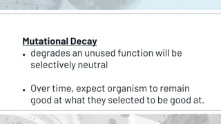Mutational Decay
● degrades an unused function will be
selectively neutral
● Over time, expect organism to remain
good at what they selected to be good at.
 