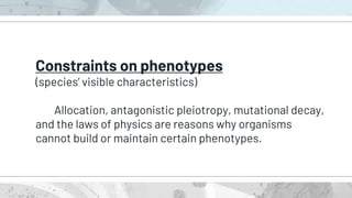 Constraints on phenotypes
(species’ visible characteristics)
Allocation, antagonistic pleiotropy, mutational decay,
and the laws of physics are reasons why organisms
cannot build or maintain certain phenotypes.
 