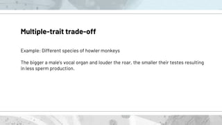 Multiple-trait trade-off
Example: Different species of howler monkeys
The bigger a male’s vocal organ and louder the roar, the smaller their testes resulting
in less sperm production.
 