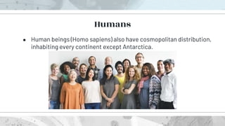 ● Human beings (Homo sapiens) also have cosmopolitan distribution,
inhabiting every continent except Antarctica.
Humans
 