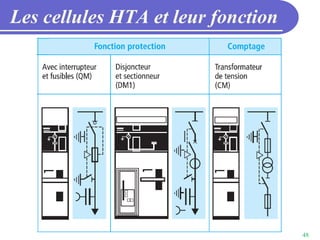 48
Les cellules HTA et leur fonction
 