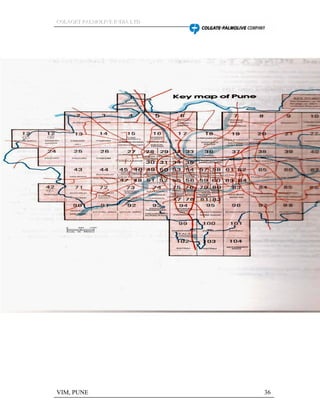 CCCOOOLLLAAAGGGEEETTT PPPAAALLLMMMOOOLLLIIIVVVEEE IIINNNDDDIIIAAA LLLTTTDDD
VIM, PUNE 36
 