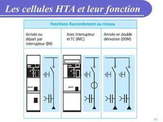47
Les cellules HTA et leur fonction
 