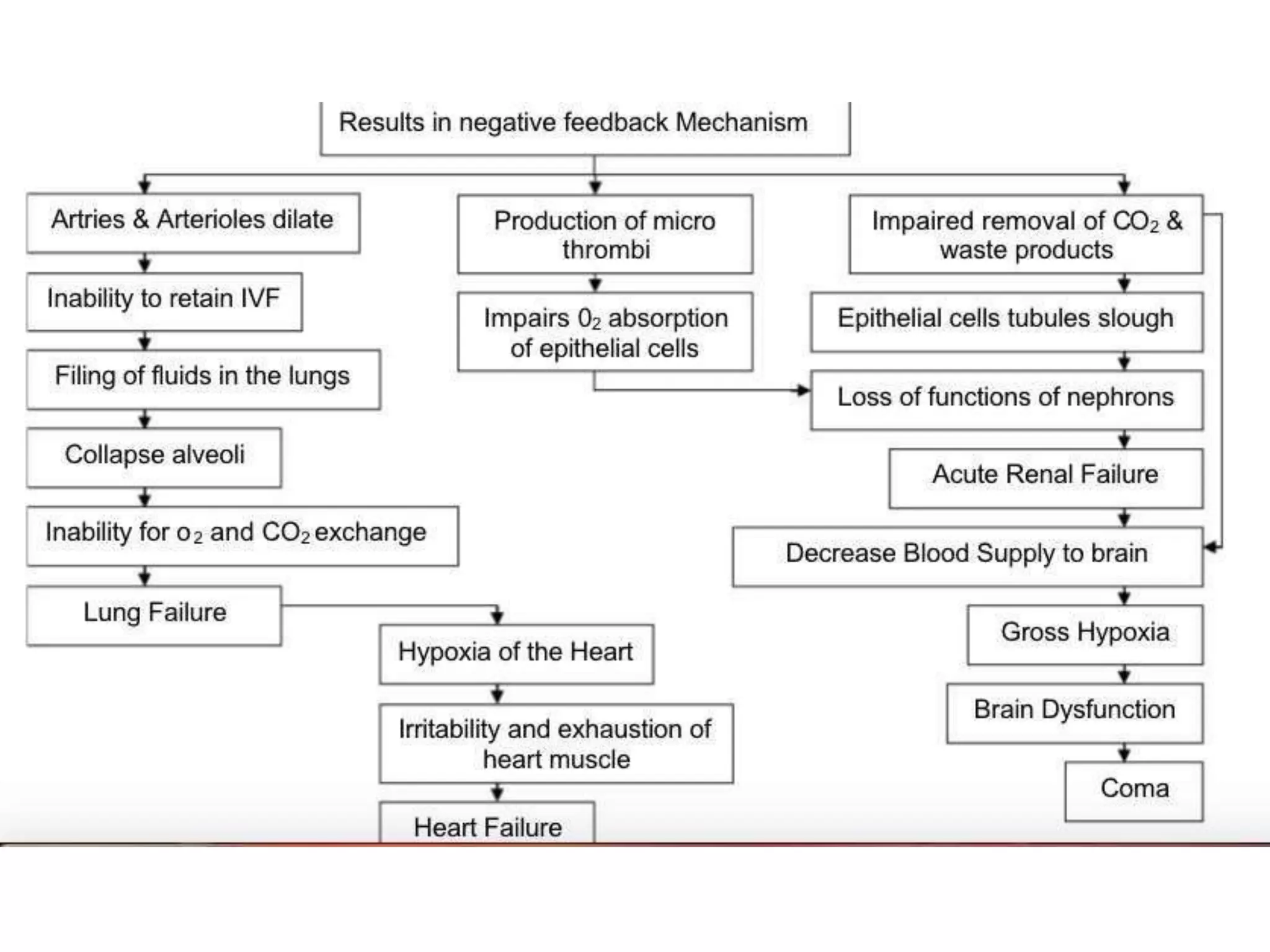 Distributive shock | PPTX