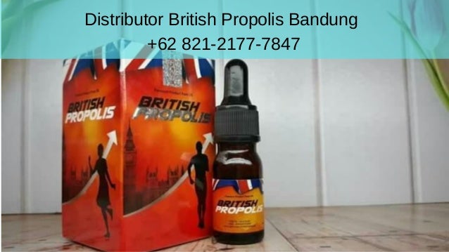 62 821 2177 7847 obat diabetes selain alodokter obat 62 821 2177 7847 obat diabetes selain alodokter obat