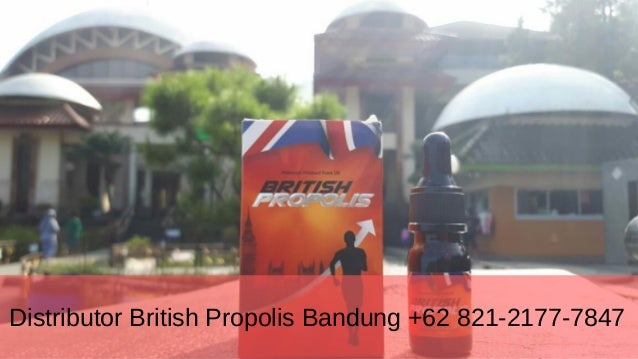 British Propolis Untuk Luka Diabetes British Propolis Untuk Luka Diabetes