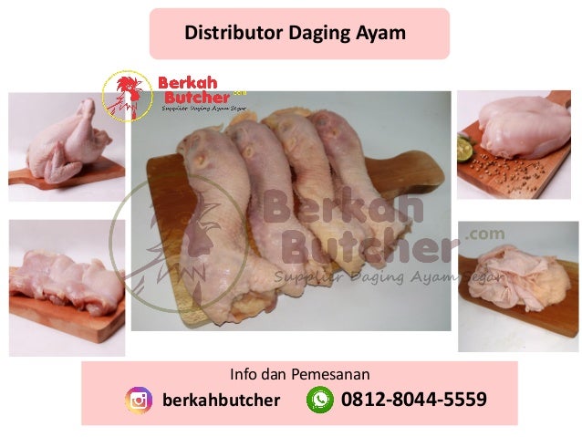 Harga Ayam Potong 1 Kg Hari Ini Tlpwa 0812 8044 5559