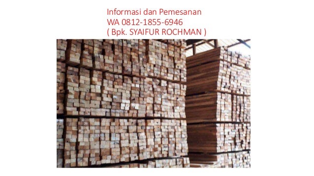 Distributor kayu  begifting terbesar 1 WA 62 812 1855 