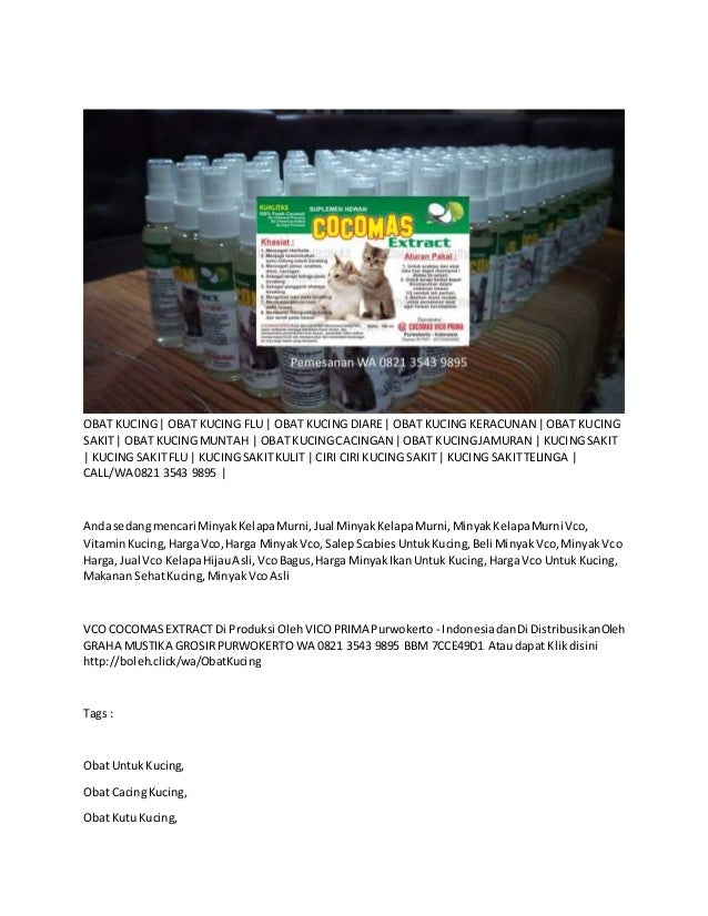 Distributor Obat Kutu Kucing Wates Di Yogyakrata 0821 3543 9895