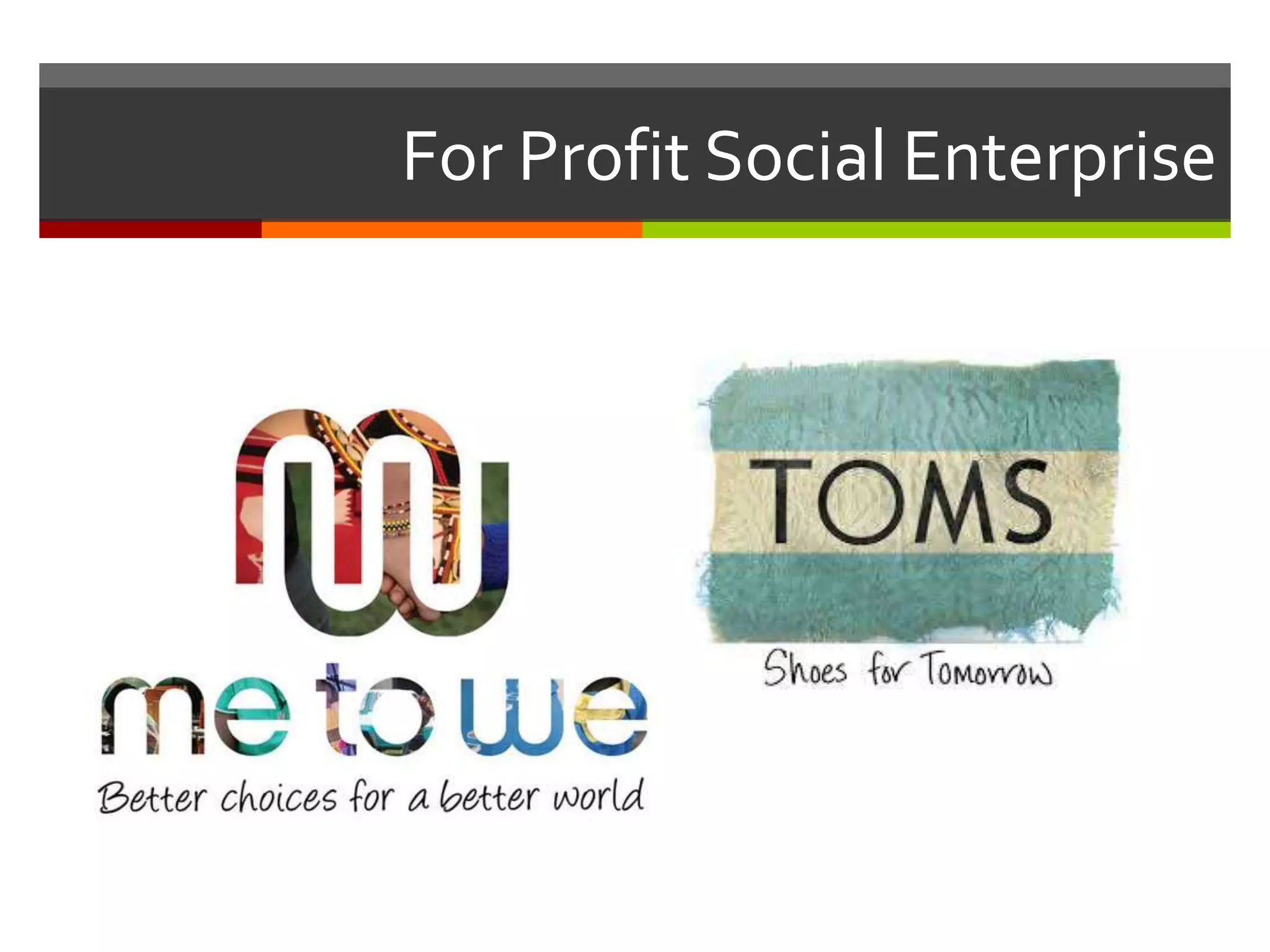For Profit Social Enterprise
 