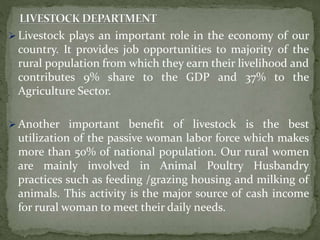  Livestock plays an important role in the economy of our
country. It provides job opportunities to majority of the
rural population from which they earn their livelihood and
contributes 9% share to the GDP and 37% to the
Agriculture Sector.
 Another important benefit of livestock is the best
utilization of the passive woman labor force which makes
more than 50% of national population. Our rural women
are mainly involved in Animal Poultry Husbandry
practices such as feeding /grazing housing and milking of
animals. This activity is the major source of cash income
for rural woman to meet their daily needs.
 