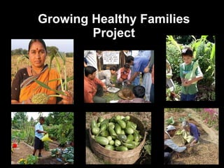 Growing Healthy Families Project 