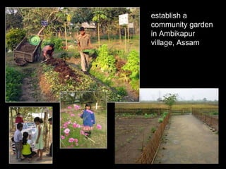 establish a community garden in Ambikapur village, Assam 