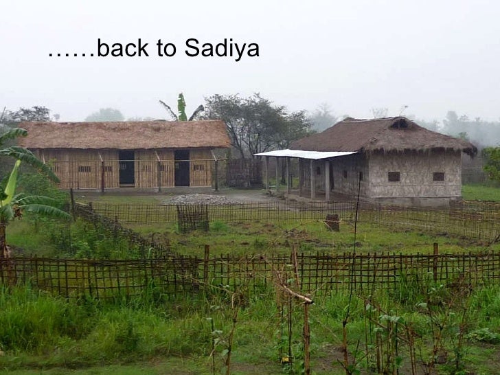 Fertile Ground in Sadiya, Assam