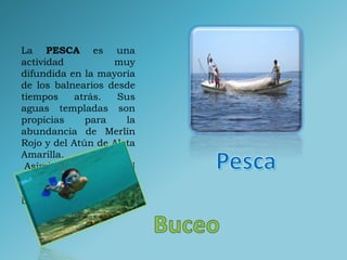 La PESCA es una
actividad muy
difundida en la mayoría
de los balnearios desde
tiempos atrás. Sus
aguas templadas son
propicias para la
abundancia de Merlín
Rojo y del Atún de Aleta
Amarilla.
Asimismo, en el
balneario Vichayito se
puede practicar el
buceo.
 