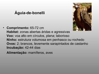 Comprimento:  65-72 cm Habitat:  zonas abertas áridas e agressivas Voo:  voa alto em círculos, plana; laborioso Ninho:  estrutura volumosa em penhasco ou rochedo Ovos:  2; brancos, levemente sarapintados de castanho Incubação:  42-44 dias Alimentação:  mamíferos, aves   Águia-de-bonelli  