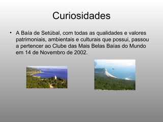 Curiosidades A Baía de Setúbal, com todas as qualidades e valores patrimoniais, ambientais e culturais que possui, passou a pertencer ao Clube das Mais Belas Baías do Mundo em 14 de Novembro de 2002. 