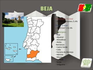 População / % total:

- 152706 habitantes /1.4%

Área / % total:

- 10225 km² / 11.5%

Municípios:

- Beja
- Aljustrel
- Almodôvar
- Alvito
-Barrancos
- Castro Verde
- Cuba
- Ferreira do Alentejo
- Mértola
- Moura
- Ourique
- Serpa
- Vidigueira

 