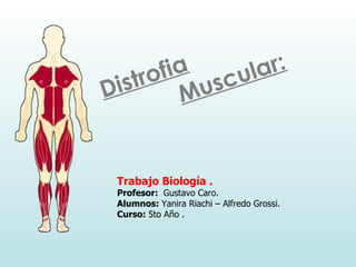 Distrofia Muscular: Trabajo Biología .  Profesor:  Gustavo Caro. Alumnos:  Yanira Riachi – Alfredo Grossi. Curso:  5to Año . 