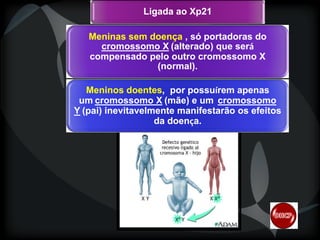 Ligada ao Xp21
Meninas sem doença , só portadoras do
cromossomo X (alterado) que será
será
compensado pelo outro cromossomo X
(normal).
Meninos doentes, por possuírem apenas
doentes,
possuí
um cromossomo X (mãe) e um cromossomo
Y (pai) inevitavelmente manifestarão os efeitos
da doença.
doenç

 